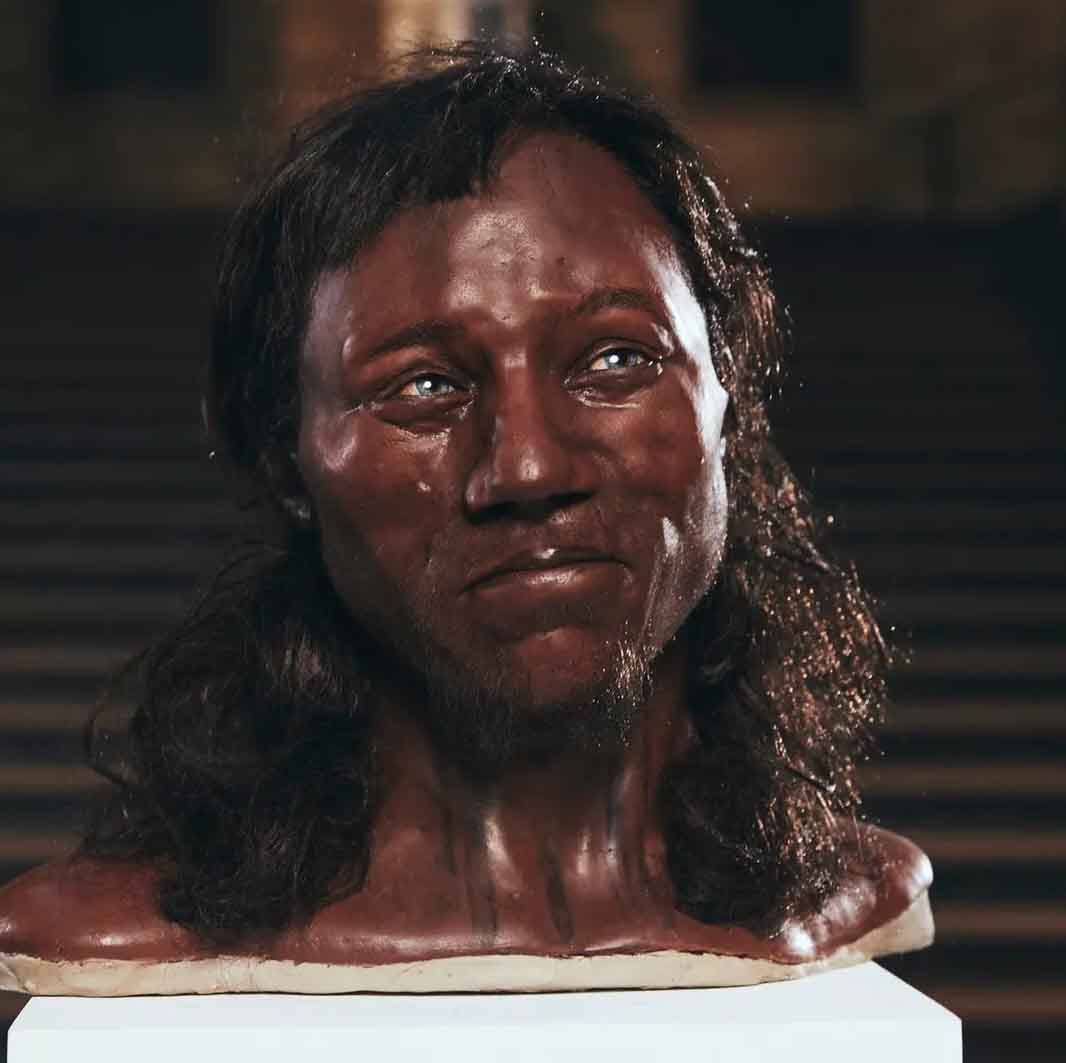 The model of Cheddar Man